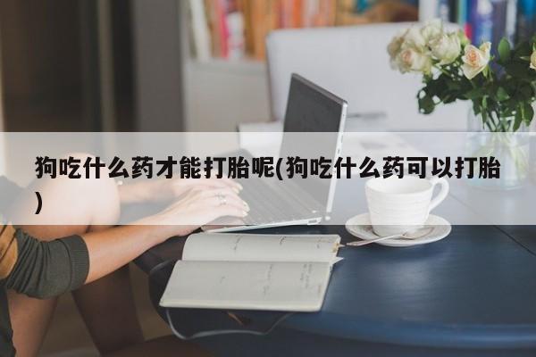 米非米索购买方式狗吃什么药才能打胎呢(狗吃什么药可以打胎)