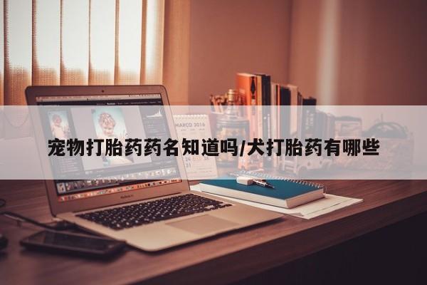 米非米索购买方式宠物打胎药药名知道吗/犬打胎药有哪些