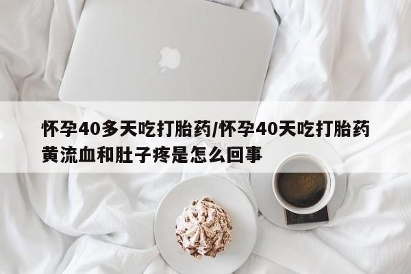 admin 第770页