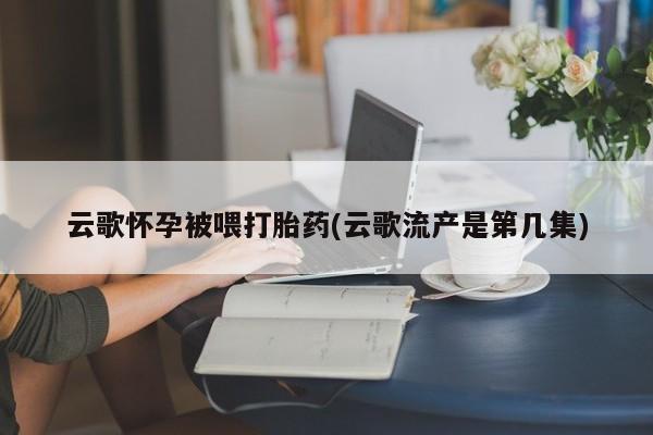 米非米索购买方式云歌怀孕被喂打胎药(云歌流产是第几集)